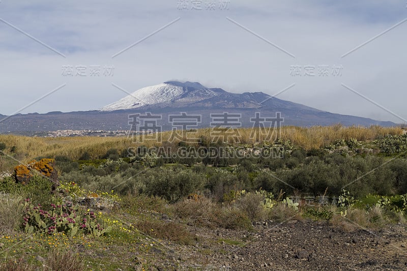 埃特纳火山景观