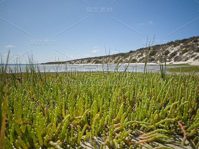 在Langebaan泻湖西岸国家公园的海滩，海岸上有岩石，海滩前有蓝色的水