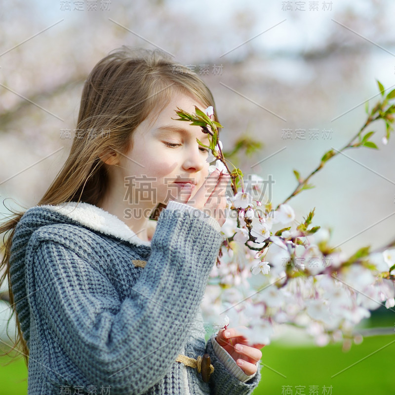 可爱的小女孩在盛开的樱桃花园里