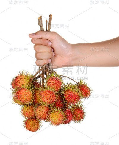 白色背景上的新鲜红毛丹包。