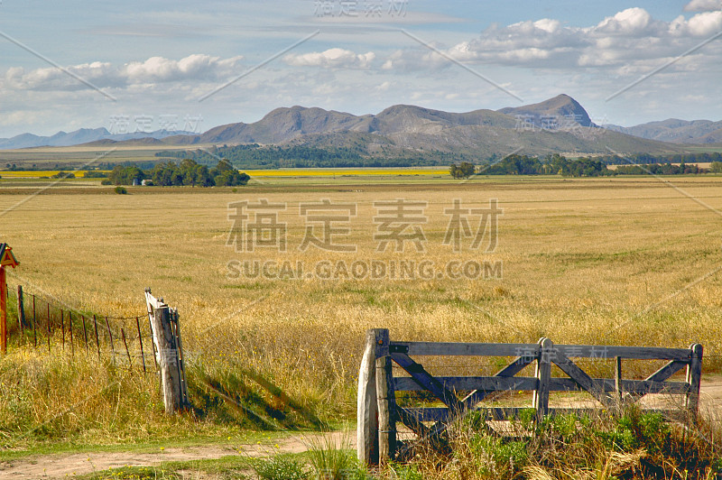 阿根廷场