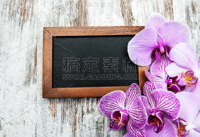 黑板和兰花