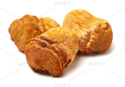 在白色背景上分离的猴头