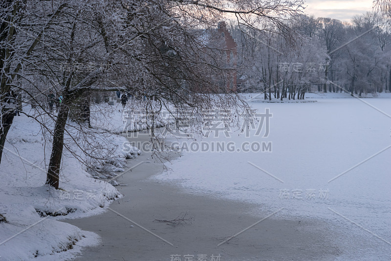 公园里结冰的湖，冬天寒冷的傍晚