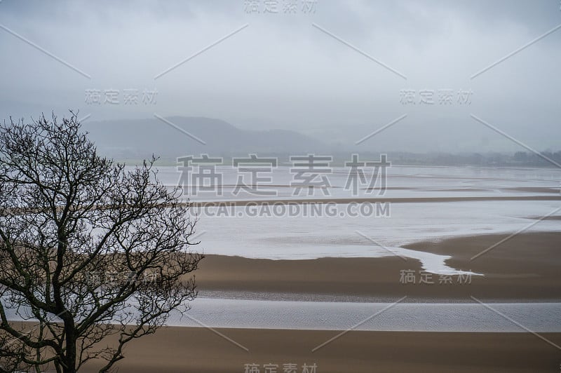 河口湾海景