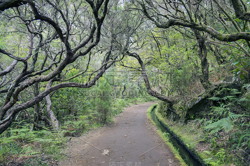 莱瓦达二十五号通道旅游路线拉巴路，马德拉岛