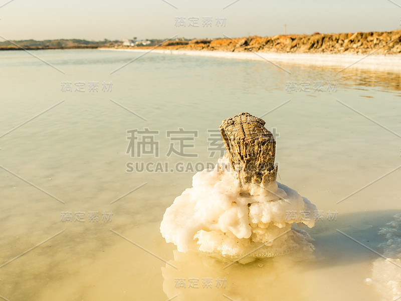盐厂