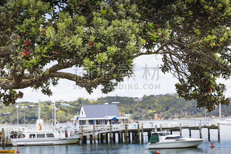 拉塞尔附近的Paihia，群岛湾，新西兰