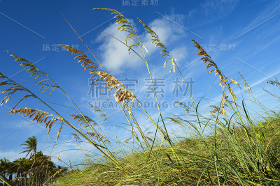 克兰公园海滩