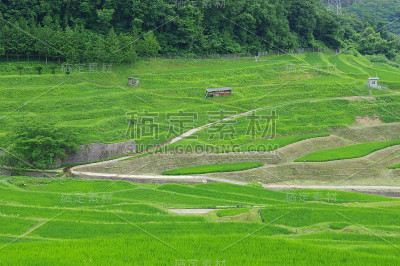 稻仓(长野县)梯田