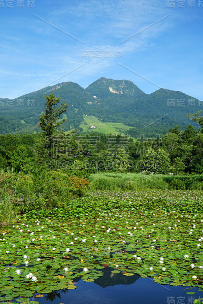 夏日的imori池塘