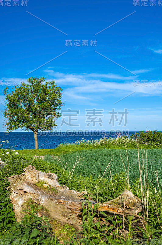 斯塔伯胡克陡峭的海岸景观