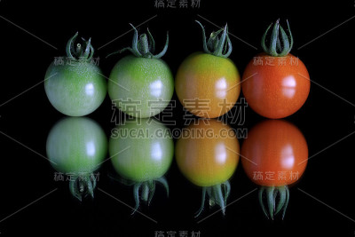 梯度樱桃番茄在反射黑色