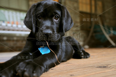 简单的事情