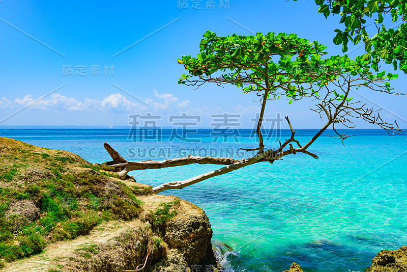 棕榈海洋天空