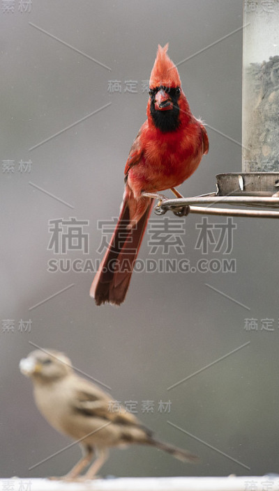 往下看