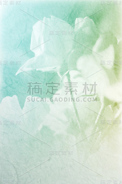 甜美的玫瑰颜色，柔和的风格