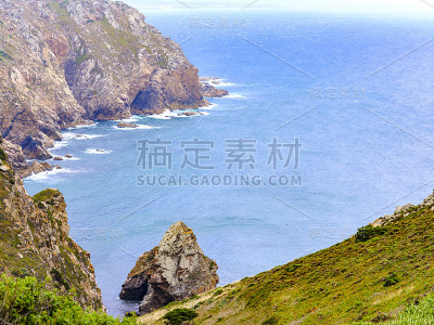 葡萄牙万寿菊2000