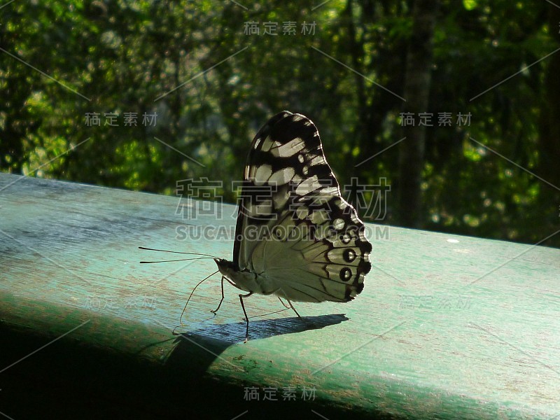 阿根廷旅游