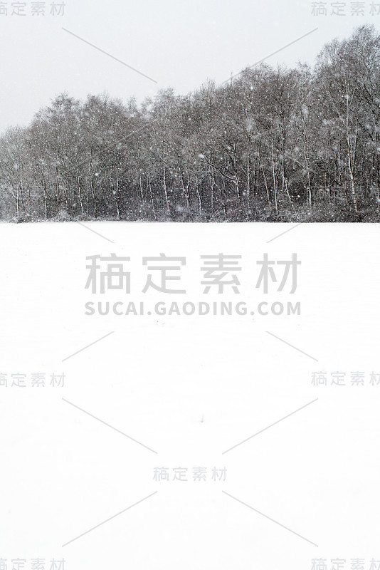 下雪时，树木和草地被雪覆盖。