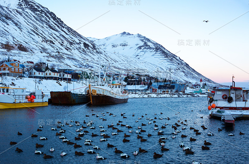 冬天黎明时分，西格卢峡湾的渔船
Siglufjordur是冰岛北部海岸一个狭窄峡湾中的一个小渔村。