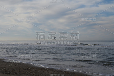 荷兰景观，在荷兰Castricum aan Zee附近的北海沙滩，退潮时