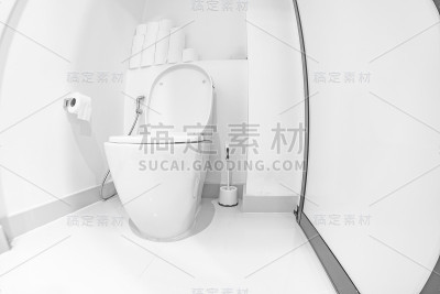 白色的抽水马桶