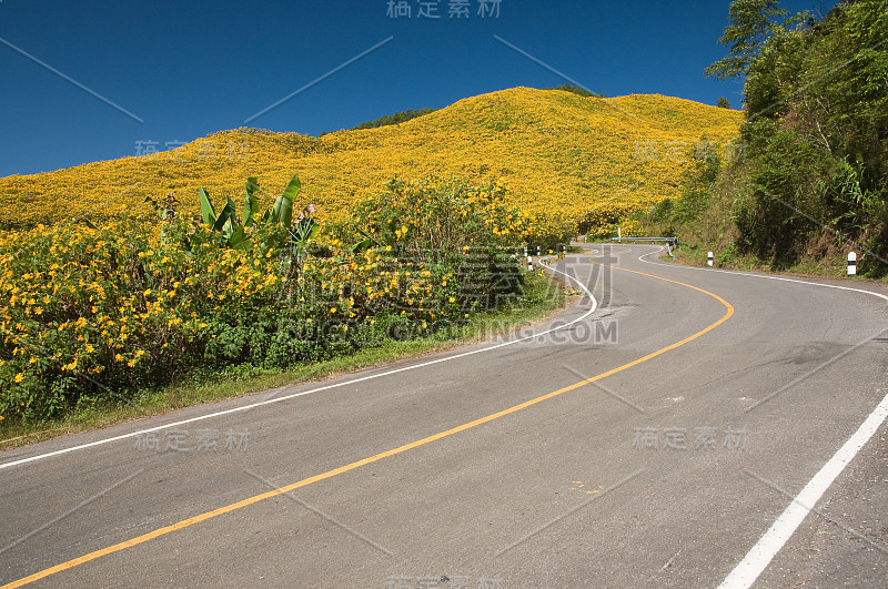 去黄花山的路