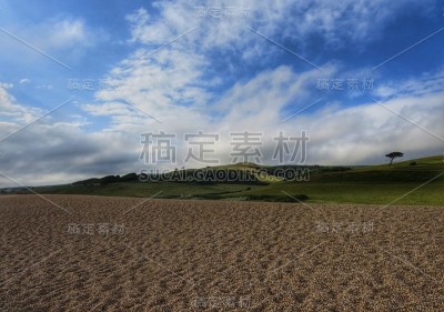 切西尔的观点