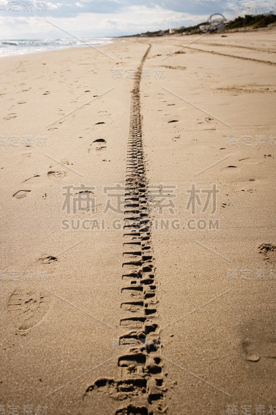 轮胎的痕迹消失在金色沙滩的地平线上。