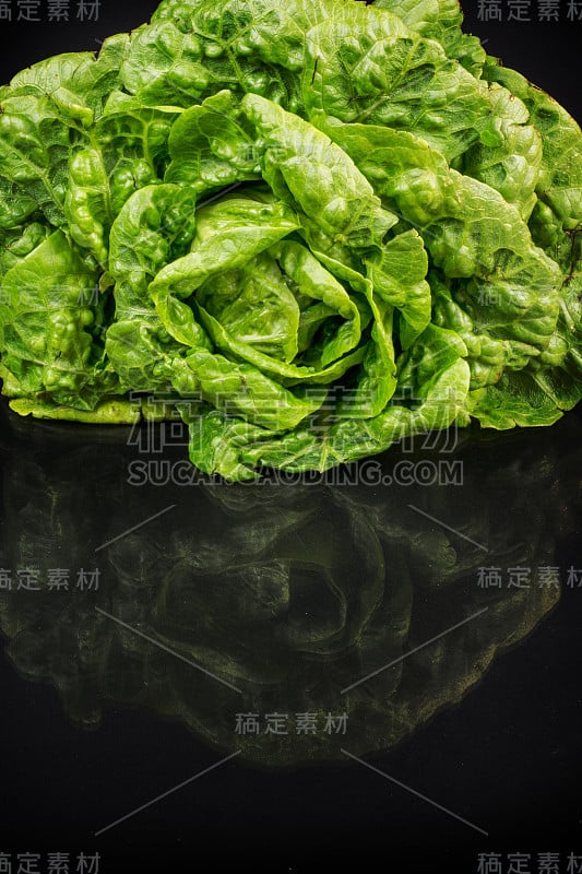 新鲜的生菜叶子