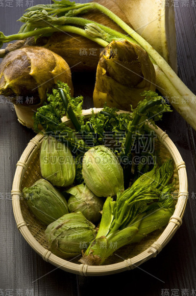 春季野生植物