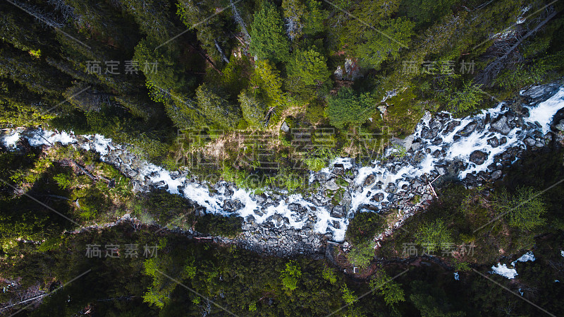 空中的顶部向下拍摄的流动的河流周围的森林，Popradska Pleso，高塔特拉斯，斯洛伐克