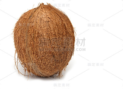 白椰子孤立