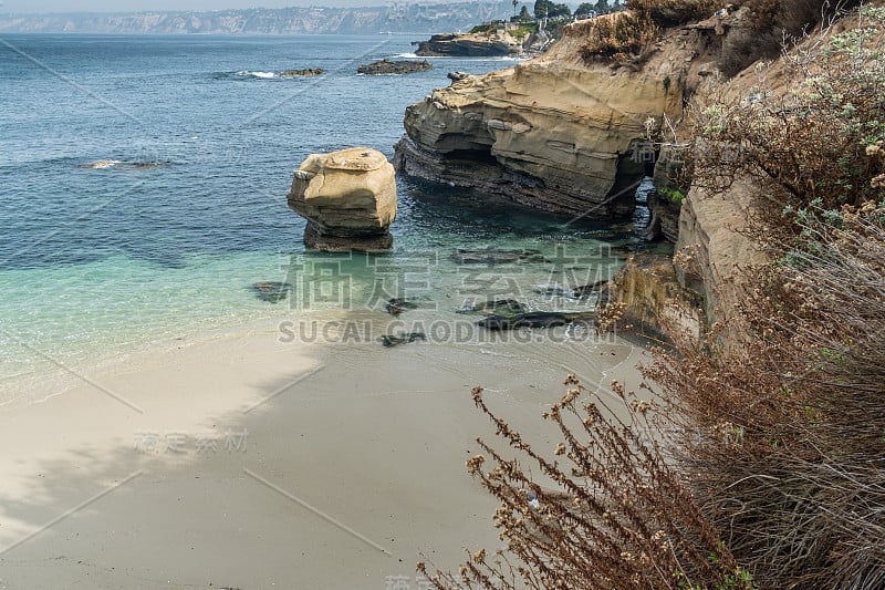 Diverse Beauty Graces the California Coast