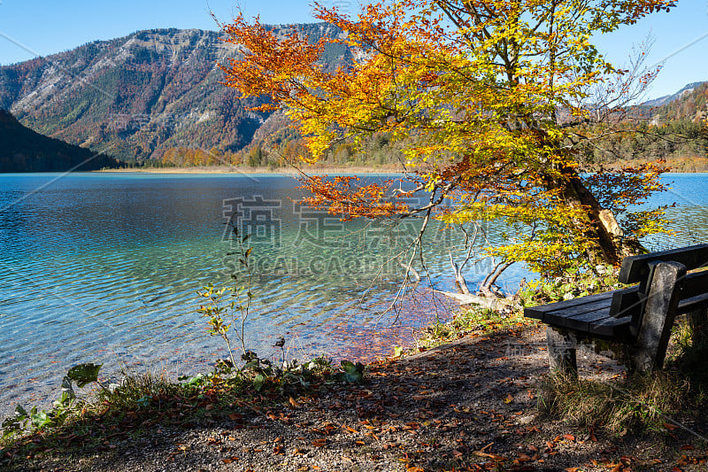 宁静的秋天阿尔卑斯山山湖奥芬西湖，萨尔兹卡默古特，上奥地利。