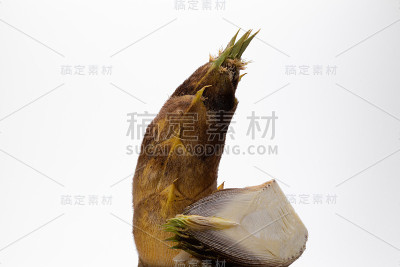竹笋。