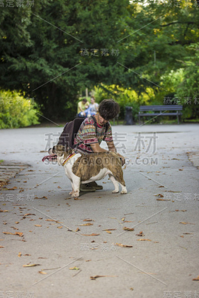 公园里的斗牛犬和主人。
