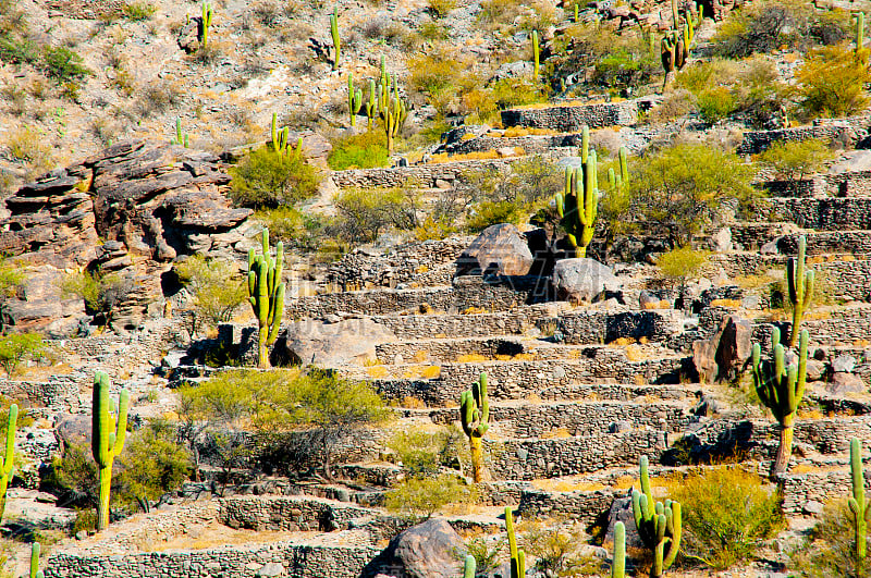 Quilmes Ruins