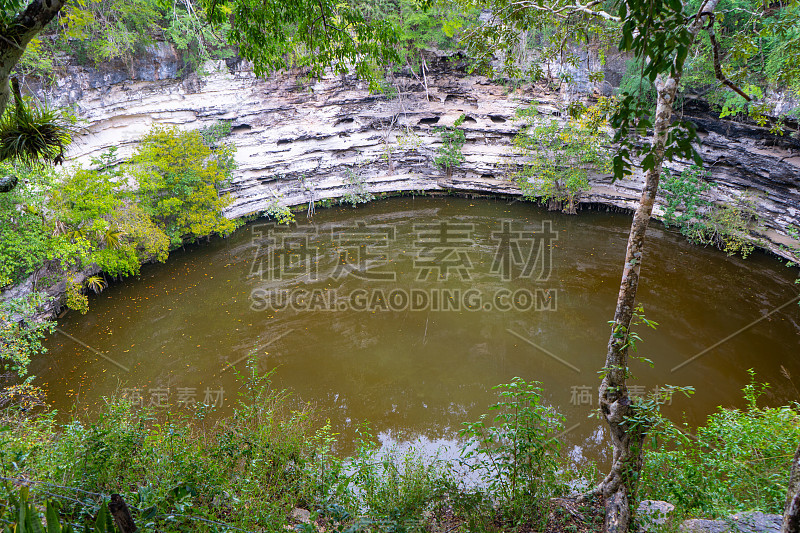 神圣的天然井。奇琴伊察考古遗址。古老的玛雅文明。旅游照片或壁纸。尤卡坦半岛。