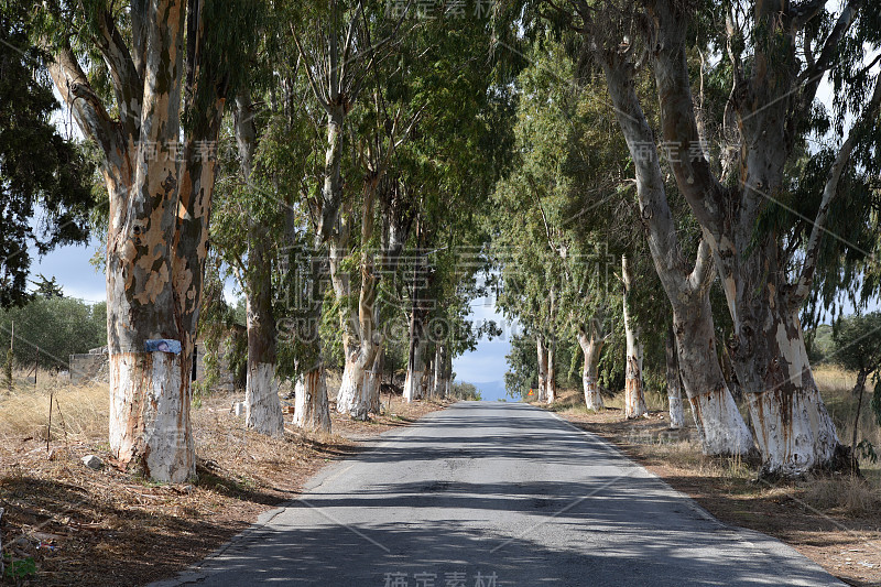 克里特岛乡间小路