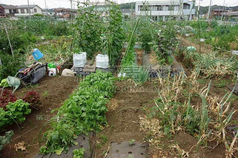 租赁区域分割农场