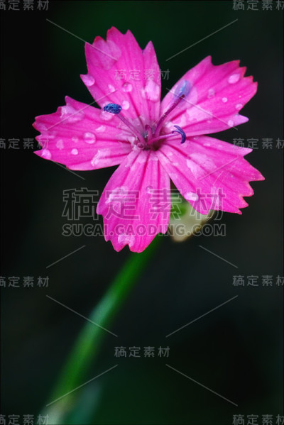 背景和下降