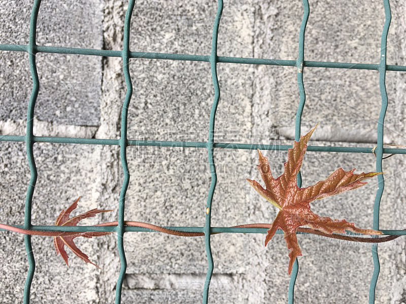 铁丝网围栏