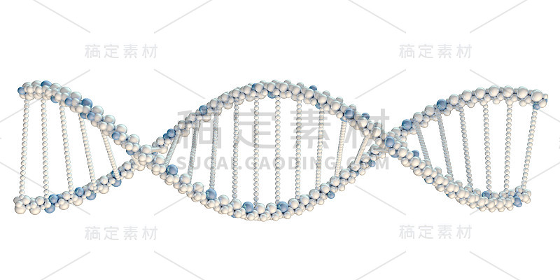 白色DNA链的说明