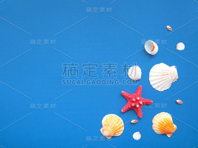 贝壳和海星