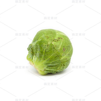 抱子甘蓝