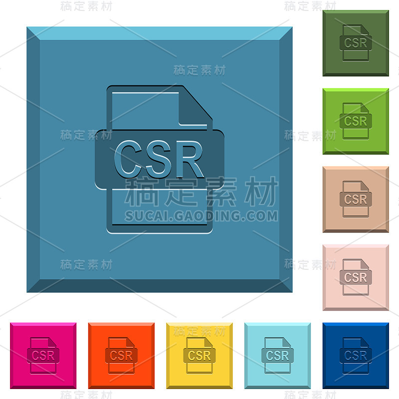 签名请求文件的SSL认证刻有图标的边缘方形按钮