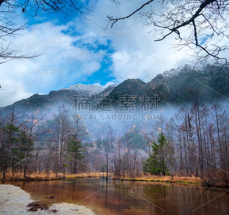 枫叶红了秋的晚霞树模糊了背景