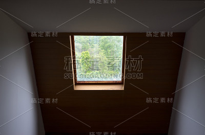 屋顶窗户与树的背景
